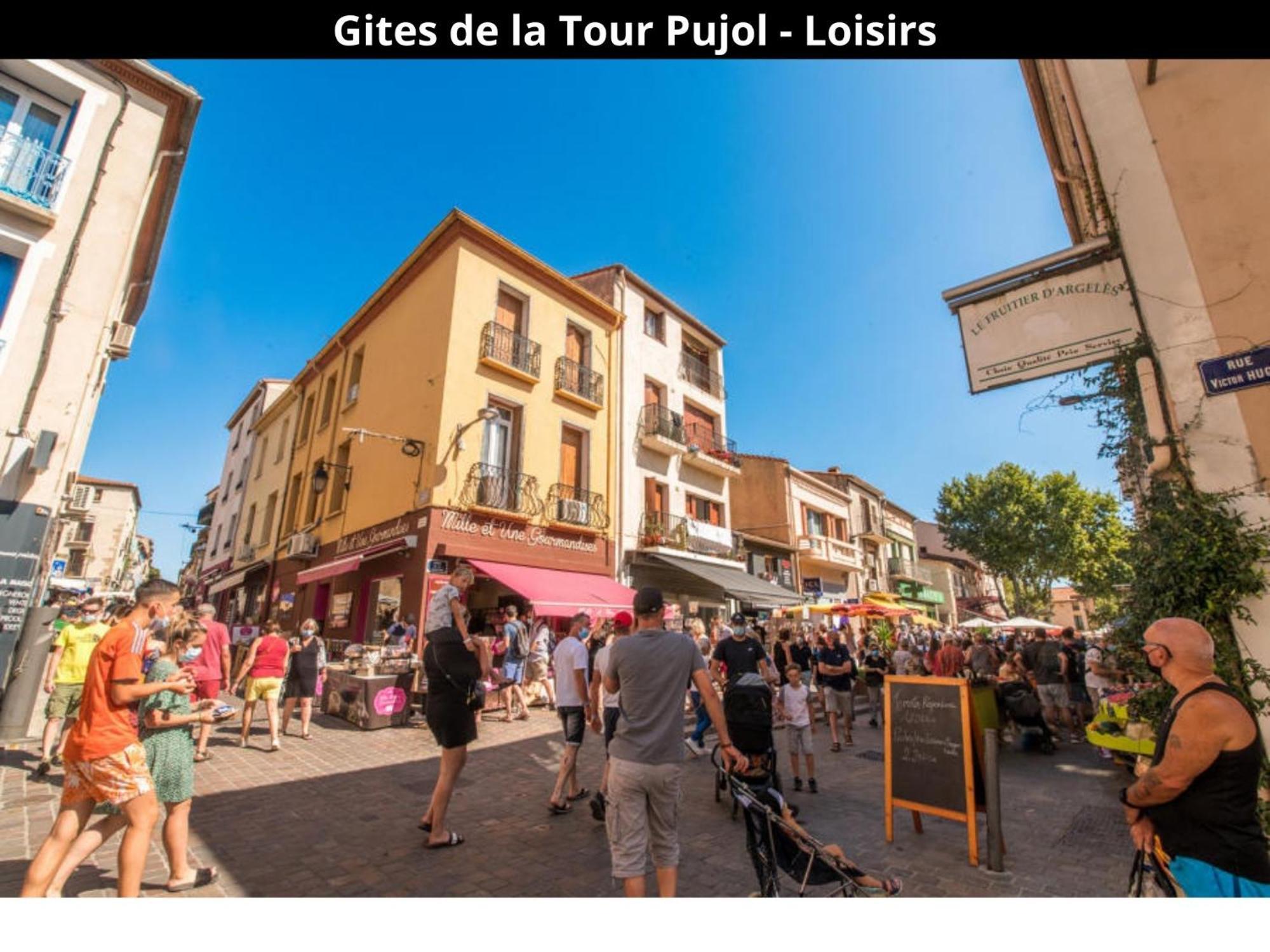 Les Gites De La Tour Pujol 滨海阿热莱斯 外观 照片