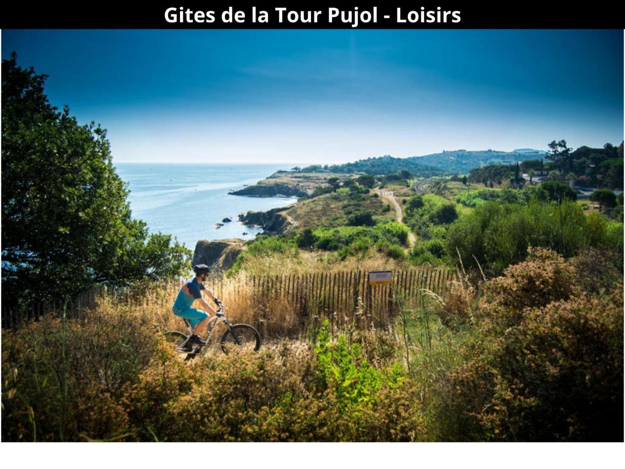 Les Gites De La Tour Pujol 滨海阿热莱斯 外观 照片