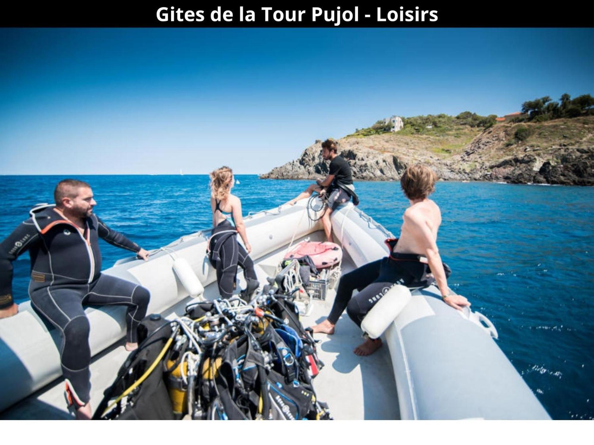 Les Gites De La Tour Pujol 滨海阿热莱斯 外观 照片