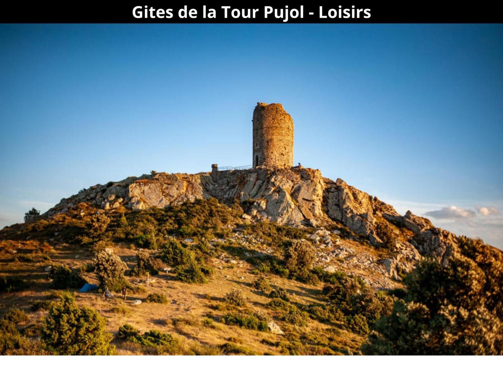 Les Gites De La Tour Pujol 滨海阿热莱斯 外观 照片