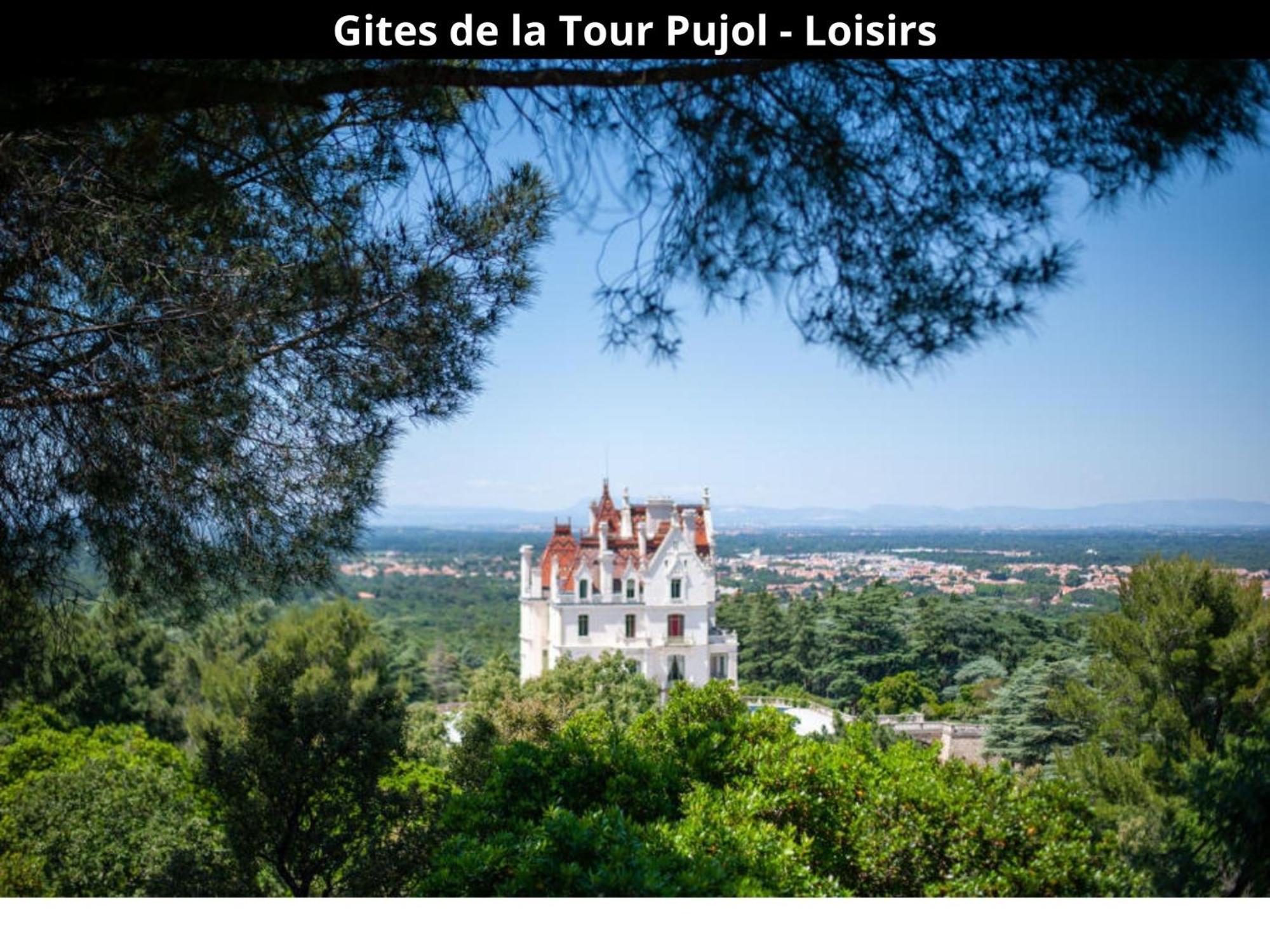 Les Gites De La Tour Pujol 滨海阿热莱斯 外观 照片