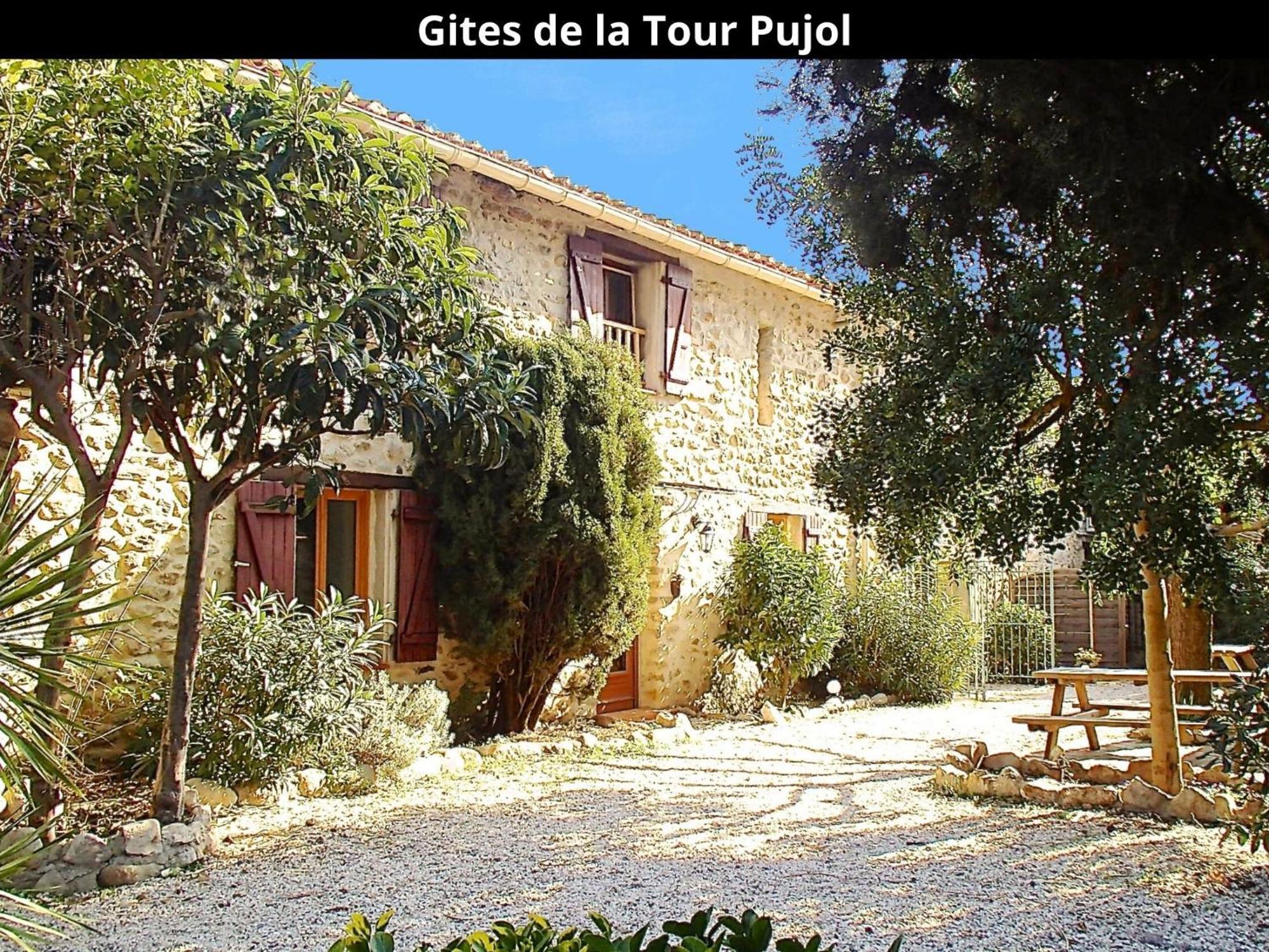 Les Gites De La Tour Pujol 滨海阿热莱斯 外观 照片