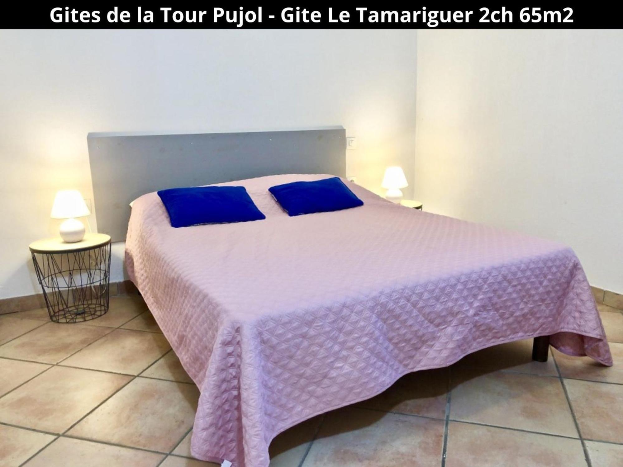 Les Gites De La Tour Pujol 滨海阿热莱斯 外观 照片