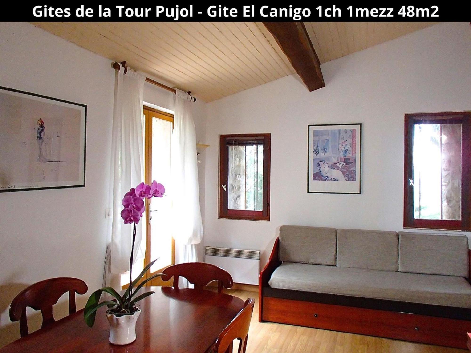 Les Gites De La Tour Pujol 滨海阿热莱斯 外观 照片